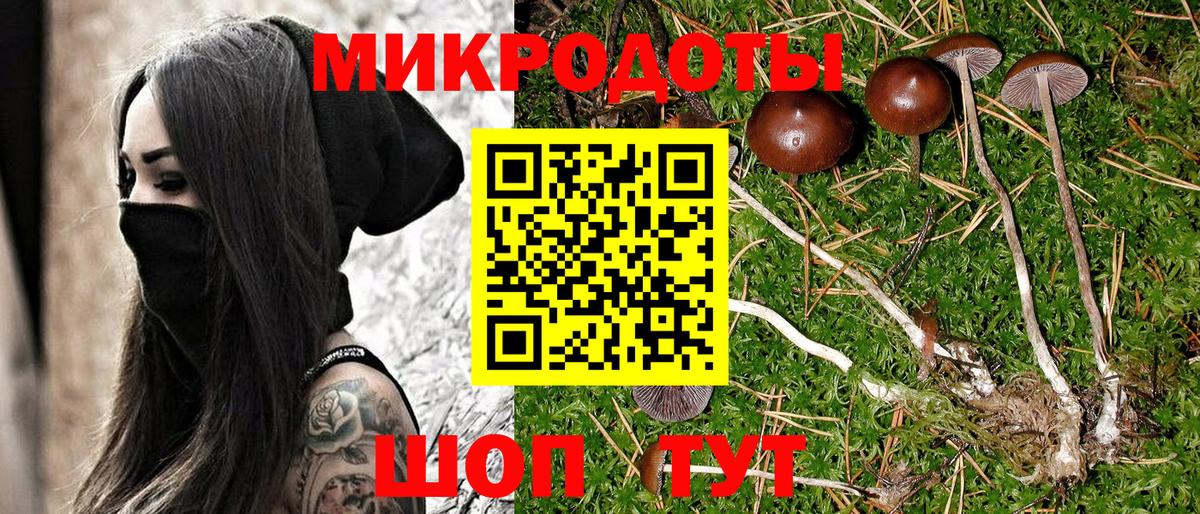 Галлюциногенные грибы прущие грибы  Вход с VPN  Галлюциногенные грибы Psilocybe  Гуково 