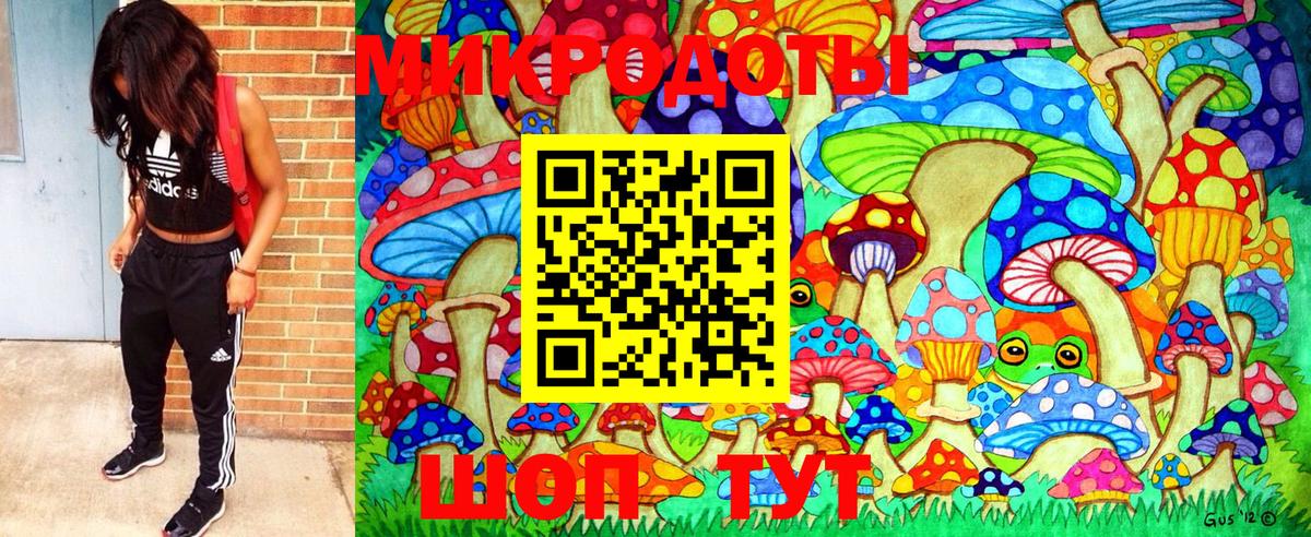 Псилоцибиновые грибы Psilocybine cubensis Гуково
